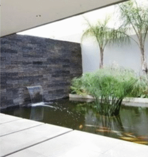 Colocación de Agua Paso 1