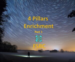 Four Pillars Enrichment Part 1