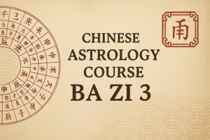 Professional Training in Chinese Ba Zi Astrology 3